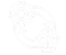 image-icon